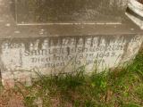 image of grave number 808731